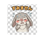 843632616
