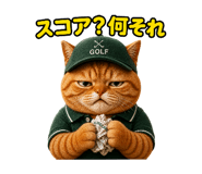 843633526