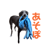 843633534