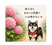 843633577
