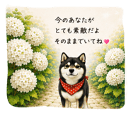 843633579