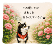 843633581