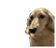 843633611