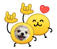843633701