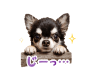 843634457