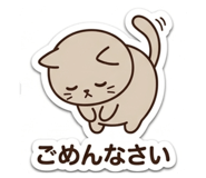 843634531