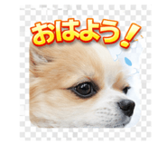 843634881
