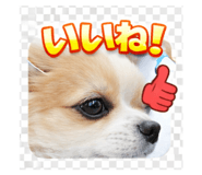 843634885