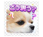 843634886