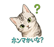 843634943