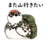 843634988