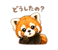843635203