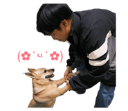 843653036