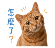 843653306