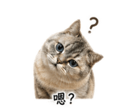 843653767