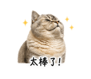 843653770