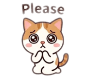 843654374