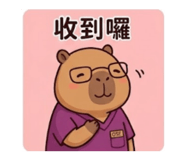 843654384