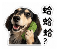843654601