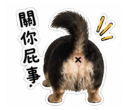 843654602