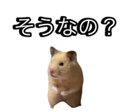 843654782