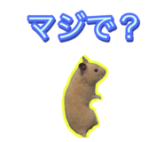 843654783