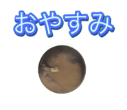 843654785