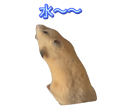 843654788