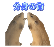 843654789