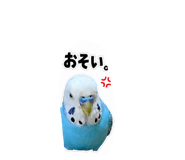 843654793