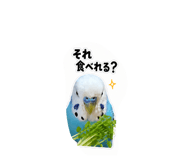 843654798
