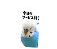 843654800