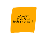 843655061