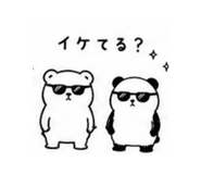 843655594
