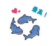 843655660