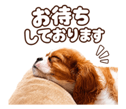 843655716