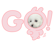 843655726