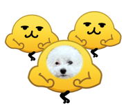 843655727