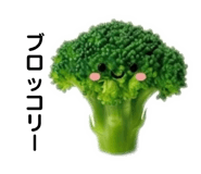 843656100