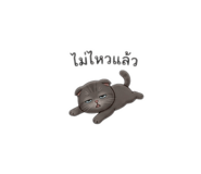 843656806