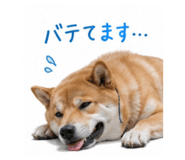 843656818