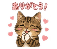 843656919