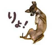 843659082