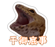 843659675