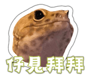 843659676
