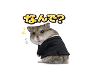 843660378