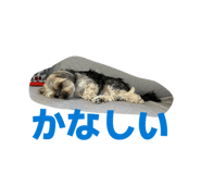843660944