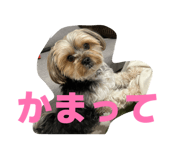 843660946