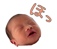 843661238