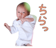 843661241